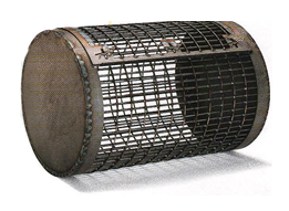 WS75