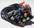 VP-003